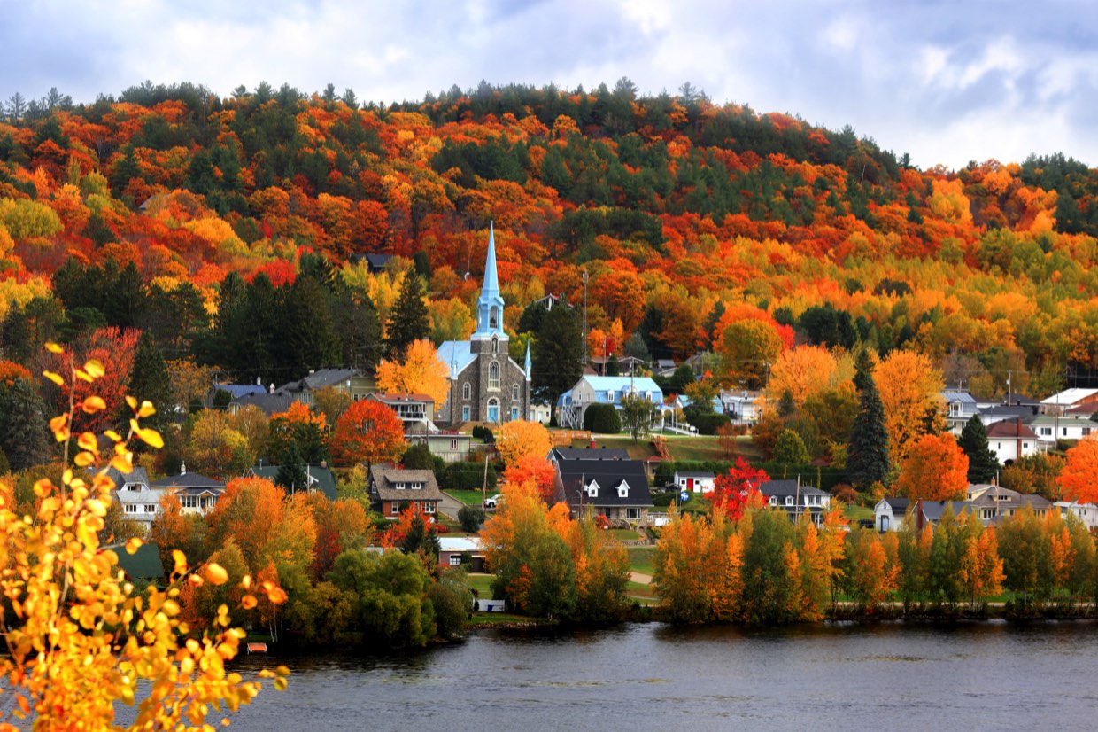 Foret au quebec